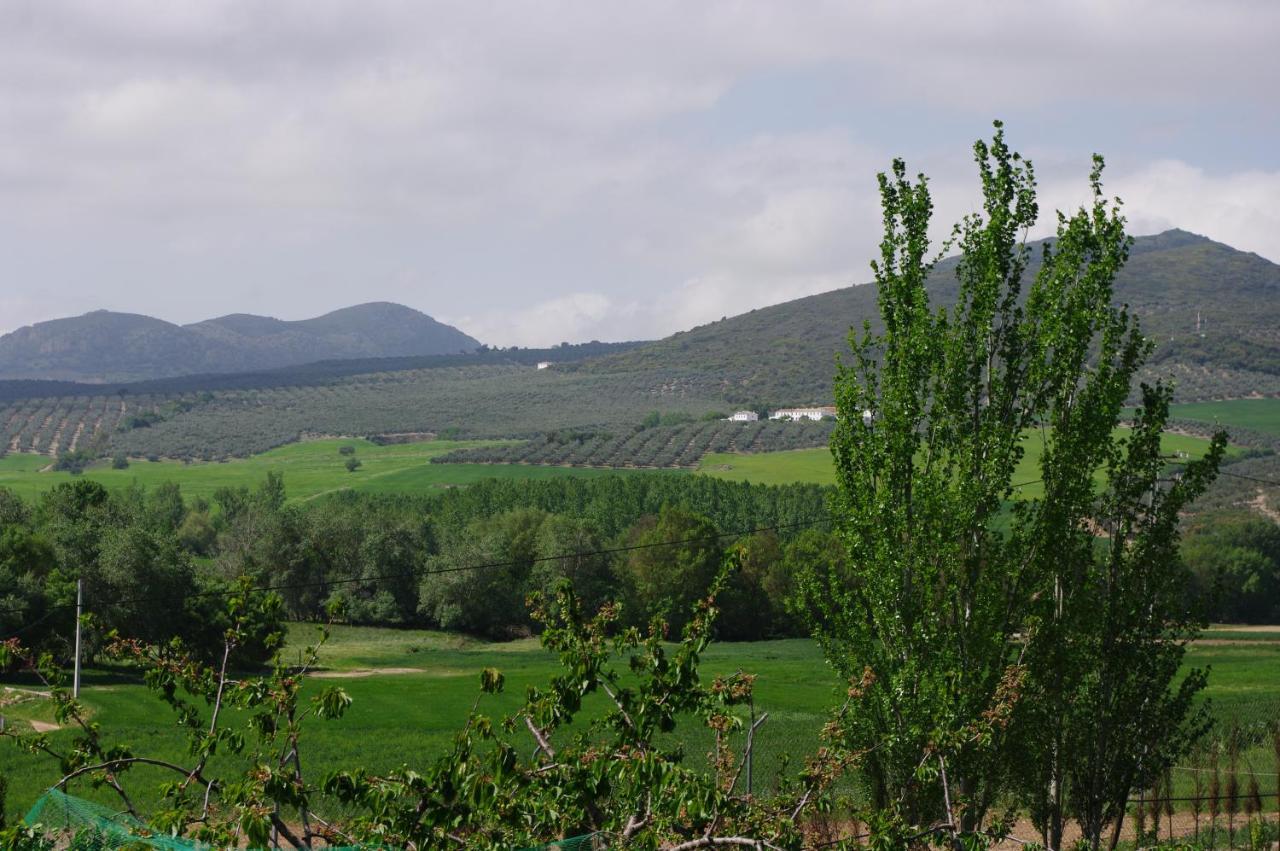 Cortijo Arcos Holiday home *